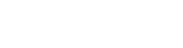 logo light
